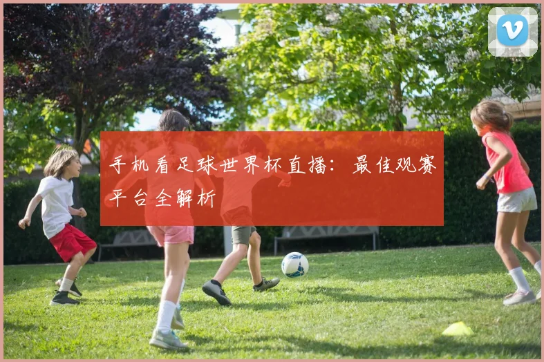 手机看足球世界杯直播：最佳观赛平台全解析