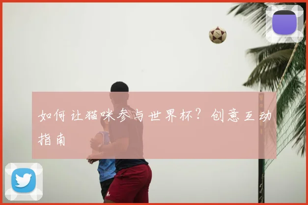 如何让猫咪参与世界杯？创意互动指南