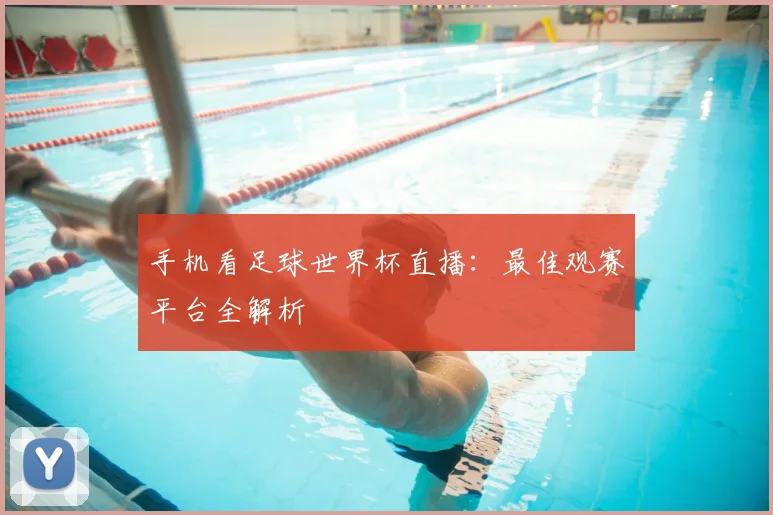 手机看足球世界杯直播：最佳观赛平台全解析