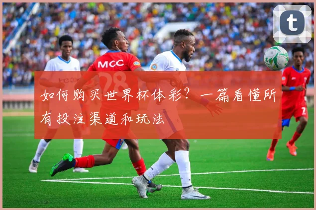 如何购买世界杯体彩？一篇看懂所有投注渠道和玩法