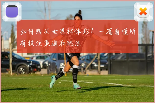 如何购买世界杯体彩？一篇看懂所有投注渠道和玩法