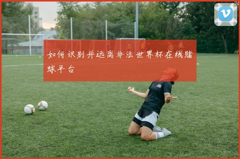 如何识别并远离非法世界杯在线赌球平台